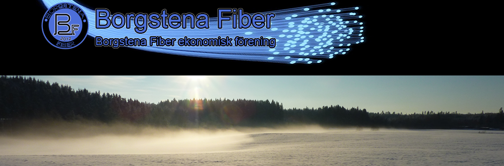 Borgstena Fiber